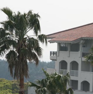 �z�e���@�����ݔ��E�f���ݔ�